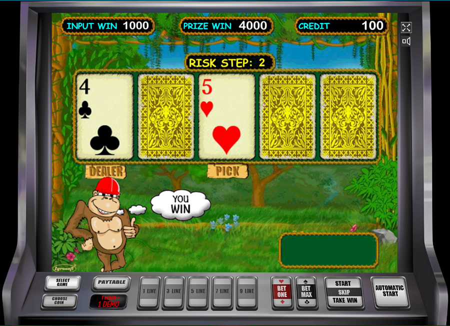 Риск-игра в Crazy Monkey